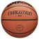 Wilson Evolution FPB 농구공