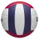 Wilson Thrive volleyball bold