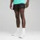Puma Шорты Run Velocity 3´´ Slpit