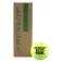Dunlop Eco 파델 볼 상자