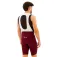 Rapha Cuissard Core