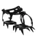 Altus Crampons Posets