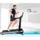 Finnlo Q. Vadis 3.0 treadmill