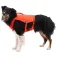 Ruffwear Confluence™ 犬のジャケット