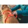 Ruffwear Front Range® 개 하네스