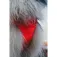 Ruffwear Front Range® 狗背带