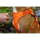 Ruffwear Web Master™ 개 하네스