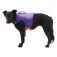 Ruffwear Float Coat™ Hundejacke