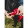 Ruffwear Web Master™ szelki dla psa