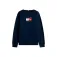 Tommy hilfiger Sudadera Script Flag