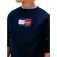 Tommy hilfiger Script Flag sweatshirt