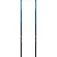 Black diamond Distance Carbon FLZ poles