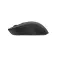Conceptronic Mouse wireless Lorcan04B