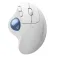 Logitech Ergo M575S 무선 마우스