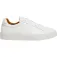 Hackett Sneaker Hackney Lace