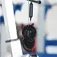 Koss KSC35WL wireless earphones