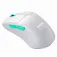 Cherry M64 wireless mouse