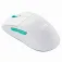 Cherry M68 wireless mouse