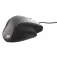 Tnb Mouse MUERGO