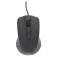 Tnb SROPSHARK1 mouse