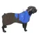 Benetton Waterproof 犬のジャケット