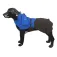 Benetton Waterproof 犬のジャケット