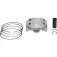 Vertex piston Pro BB D79.96 24405B stempelkit