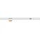 Carp expert Evolution Power Pole 鱼竿竿梢
