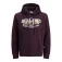 Jack & Jones Logo 2 Col hoodie