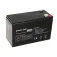 Green cell (6.3 mm) Vrla Agm Battery 7Ah 7000Mah 12V