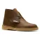 Clarks Shoes Desert boots