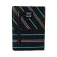 Loungefly Wicked Elphaba secret diary