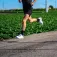 Sporcks Marathon socks