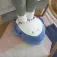 Balvi 샤키 발 온열기