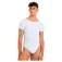 Intermezzo Fred Kurzarm-Body