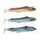JLC Real Fish Combo Body weicher köder 40g