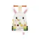 Janod Déambulateur Bébé Lapin