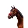 Equitheme 3D Mesh Nylon halter