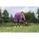 Equitheme Coperta per cavalli 600D Ai 0g Std