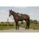 Equitheme Compet Je T´Aime sadelunderlag