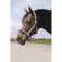 Equitheme Jacquard Nylon halter