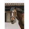 Equitheme Cabrestro Jacquard Nylon