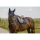 Equitheme Mirror Je T´Aime 안장 패드