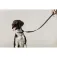 Equitheme Collar per a gos Nala
