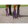 Equitheme Tendoneres Transport 600D
