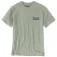 Carhartt Script Patch 半袖Tシャツ