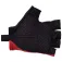 Santini TDF Grand Depart Lille 2025 short gloves
