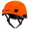 Beal Casc Quantum