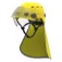 Beal Protector de coll quàntic