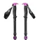 Black diamond Expedition Compactor poles